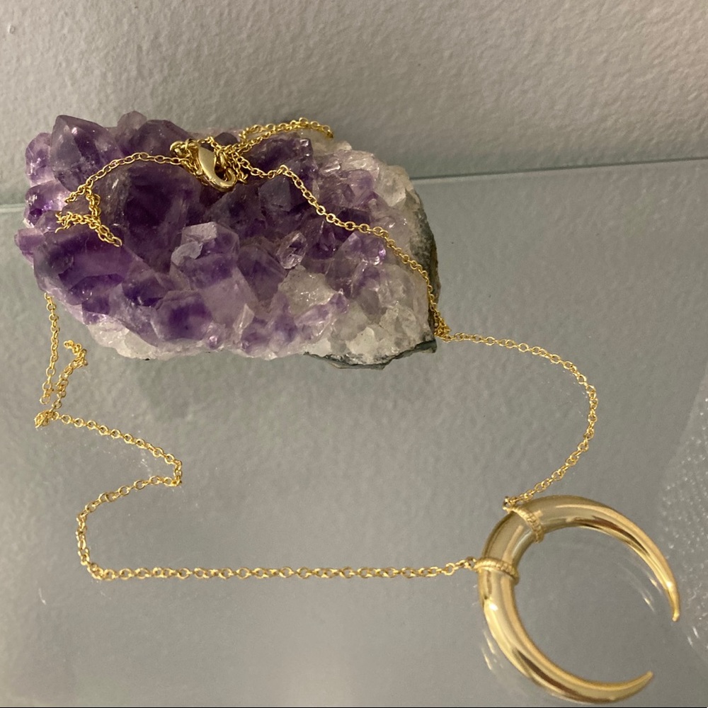 Gorjana Long Crescent Necklace
